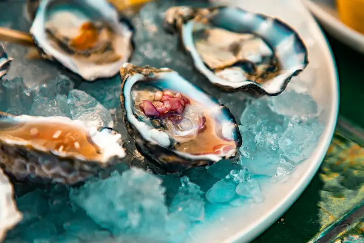Oesters en mosselen proeven in Yerseke