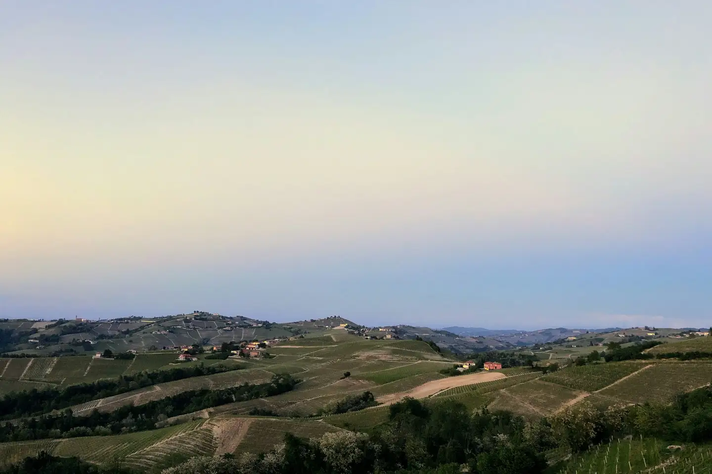 Witte truffels zoeken in de Langhe bij Alba