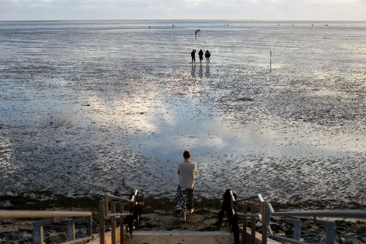 Wadlopen naar Ameland of Schiermonnikoog